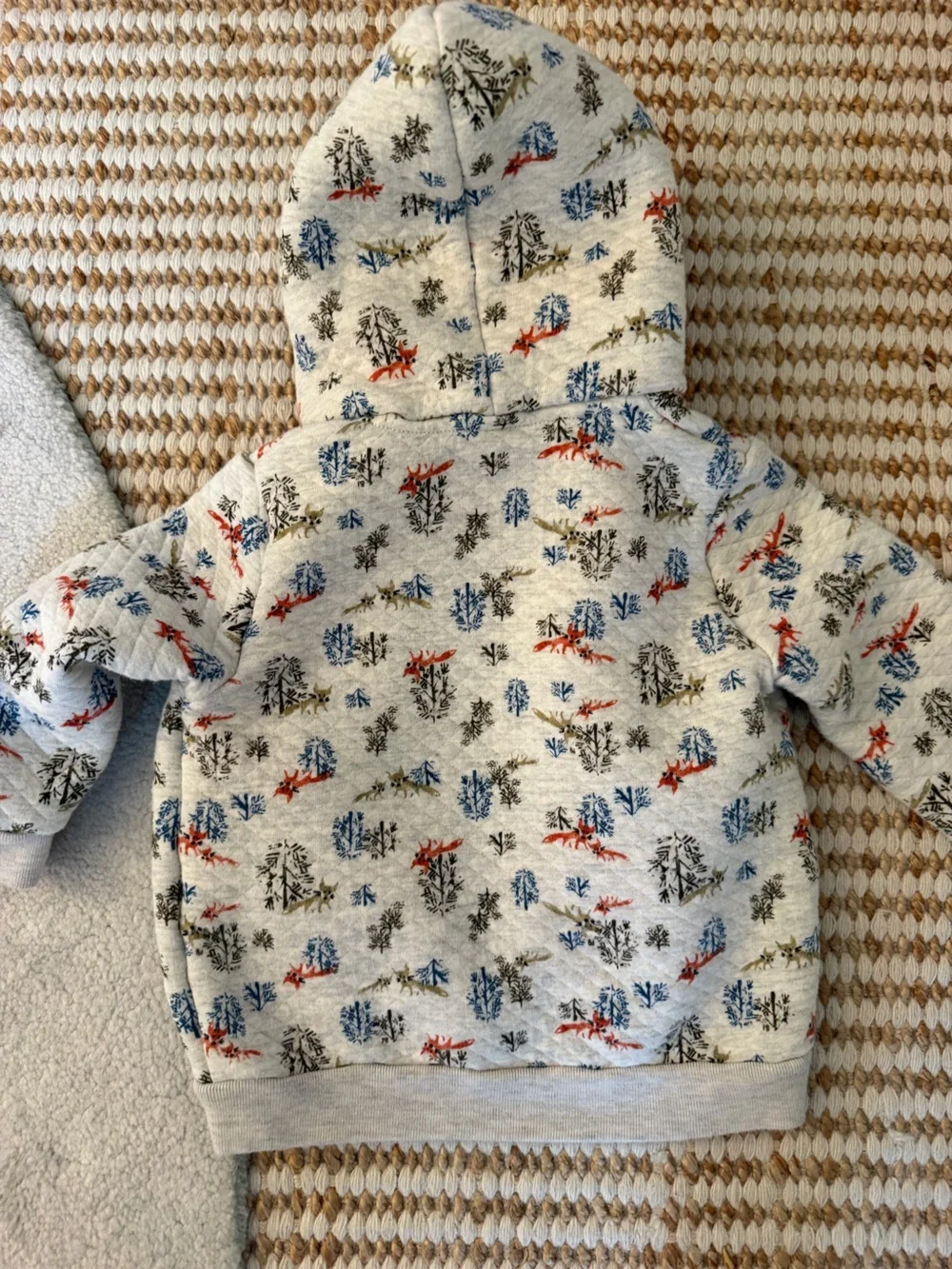 Petit Bateau petit bateau